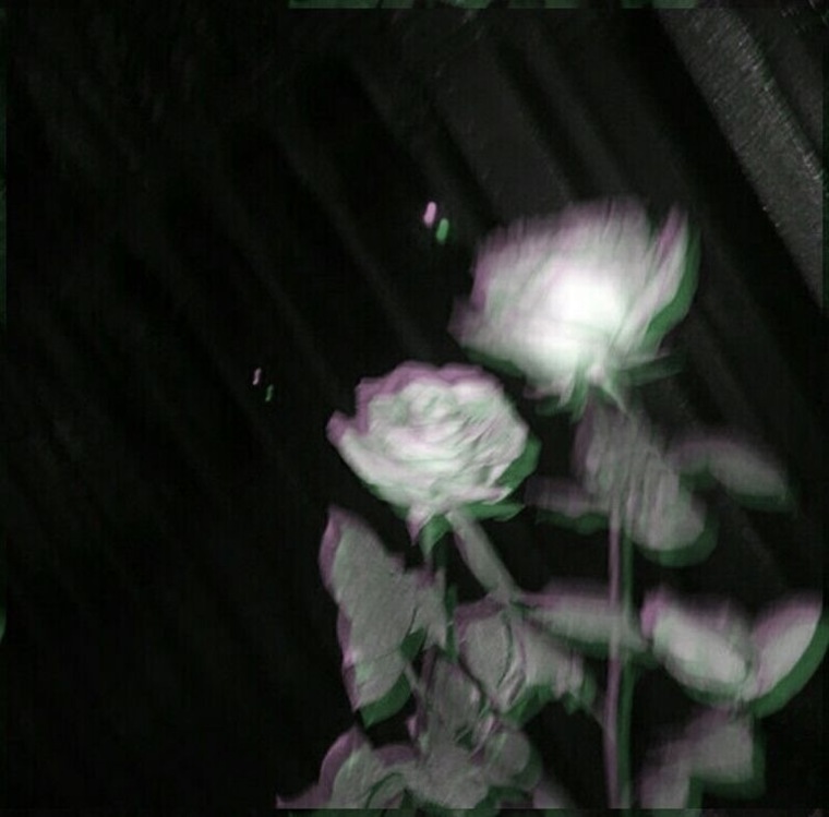 𝕬𝖓𝖉𝖎 cover image