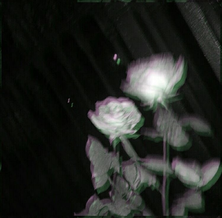 ๐ฌ๐๐๐ banner image
