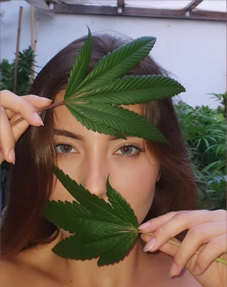 AndraSolomon23 cover image