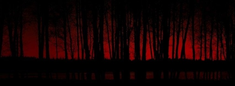 AndreasXXX banner image