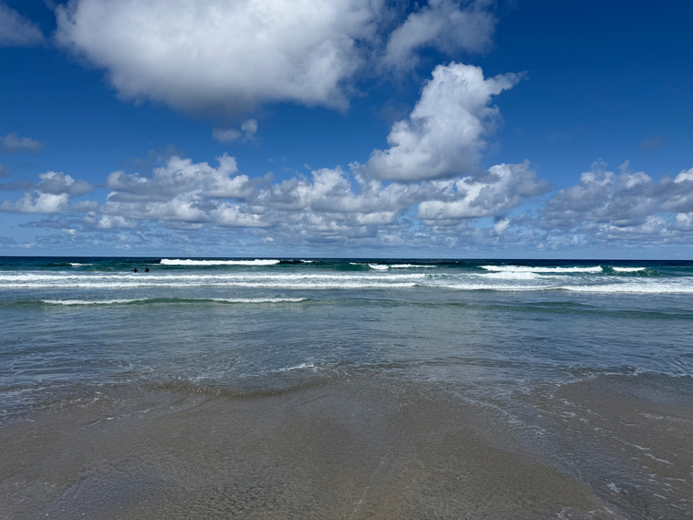 Andres banner image