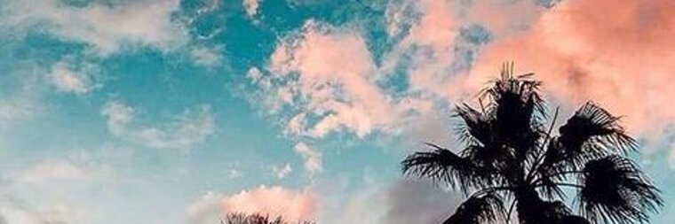 Andressa Maia banner image