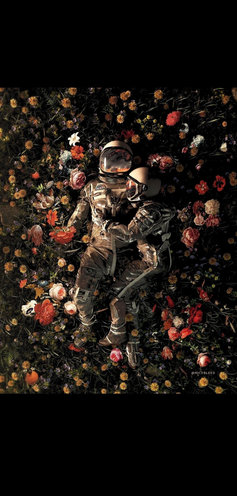 Where is my mind banner image