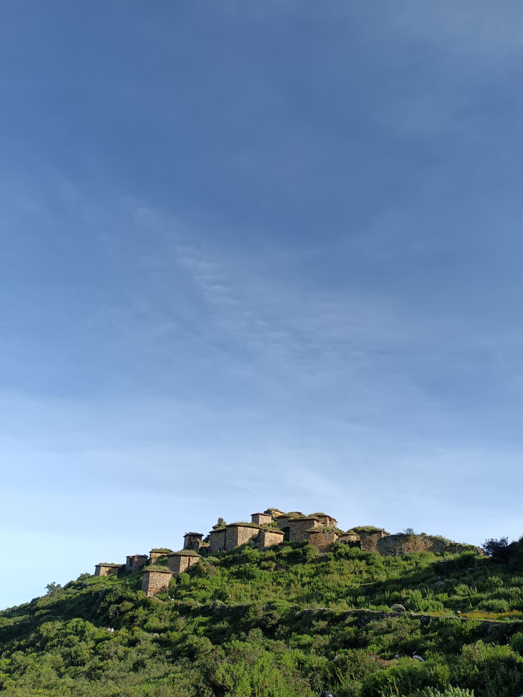 Andrew cover image