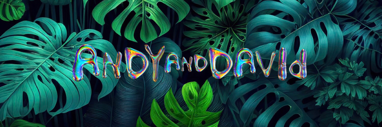 Andy &amp; David cover image