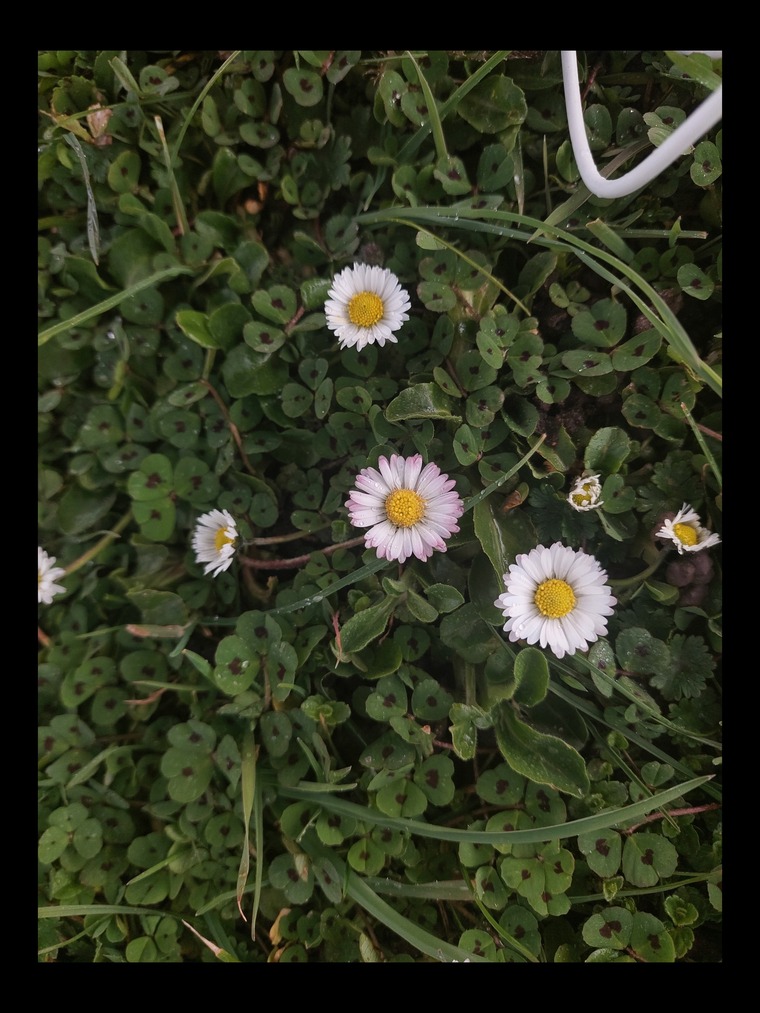Andy cover image