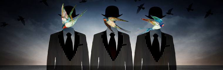 Andy Millis banner image
