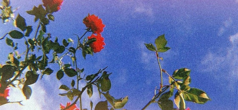 Andy_02 banner image