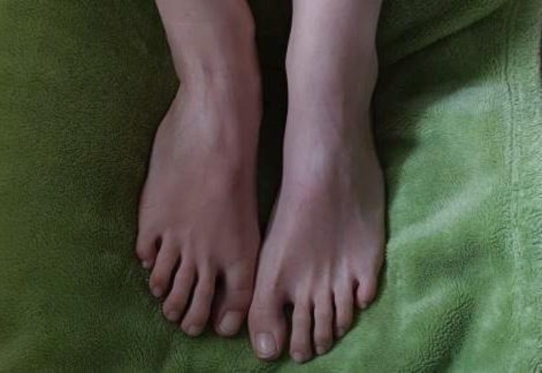 Ane banner image