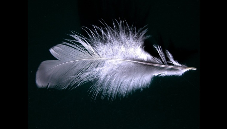 Angel cover image