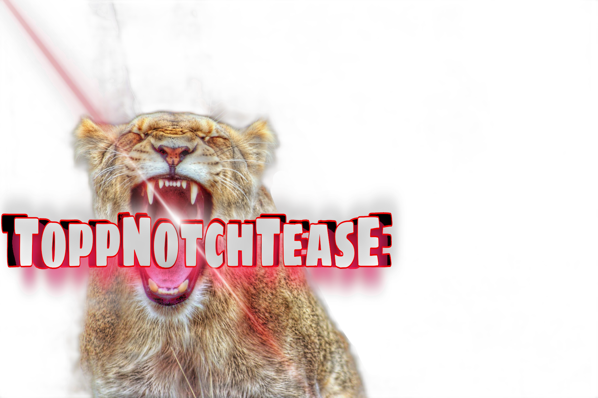 TNT 𧨠- Mistress T banner image