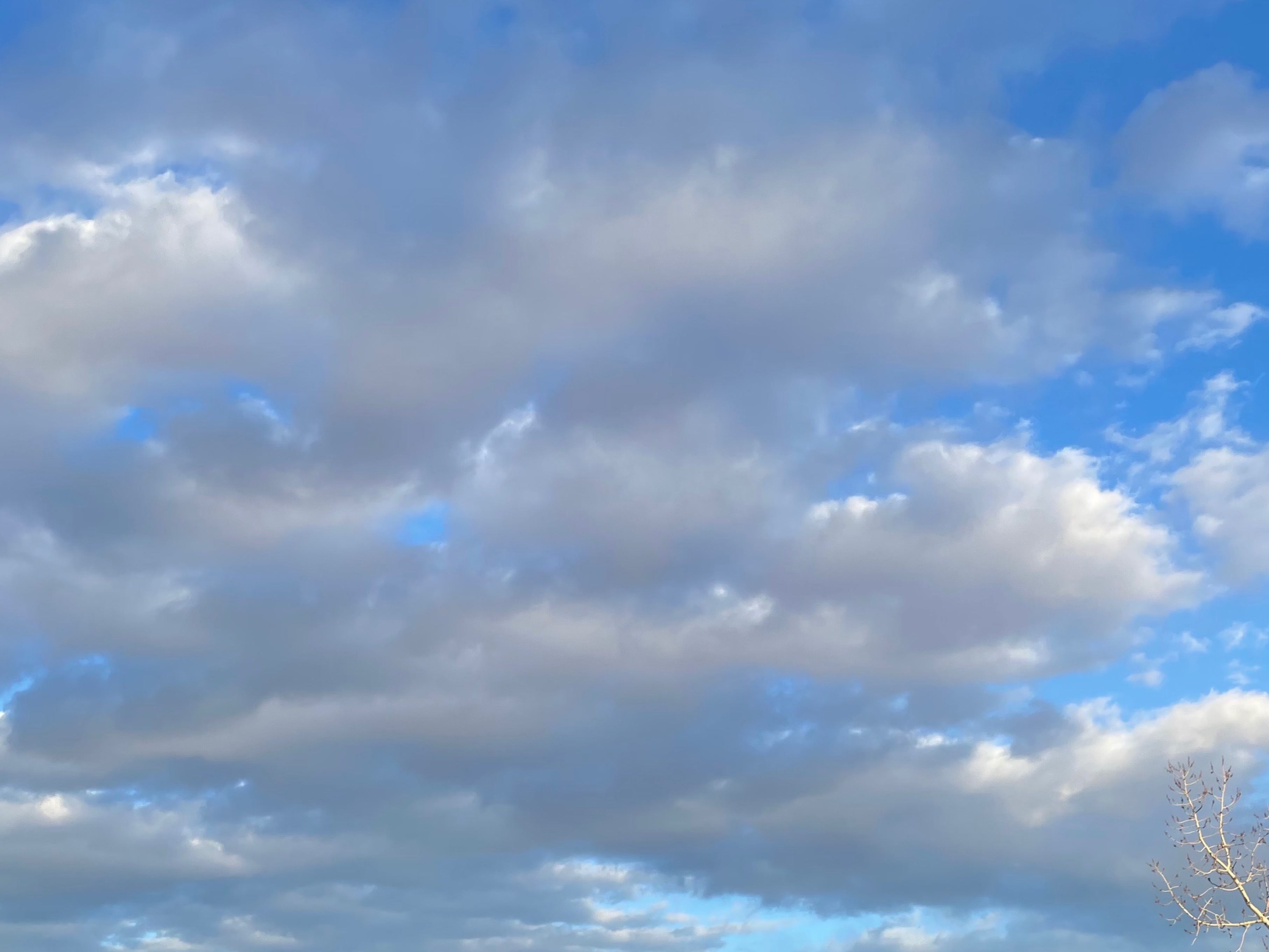 BBW Goddess banner image