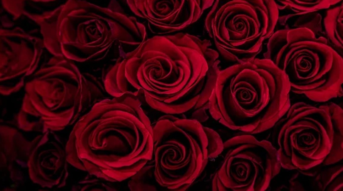 Angel banner image