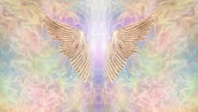 Angel Sage ♡ cover image