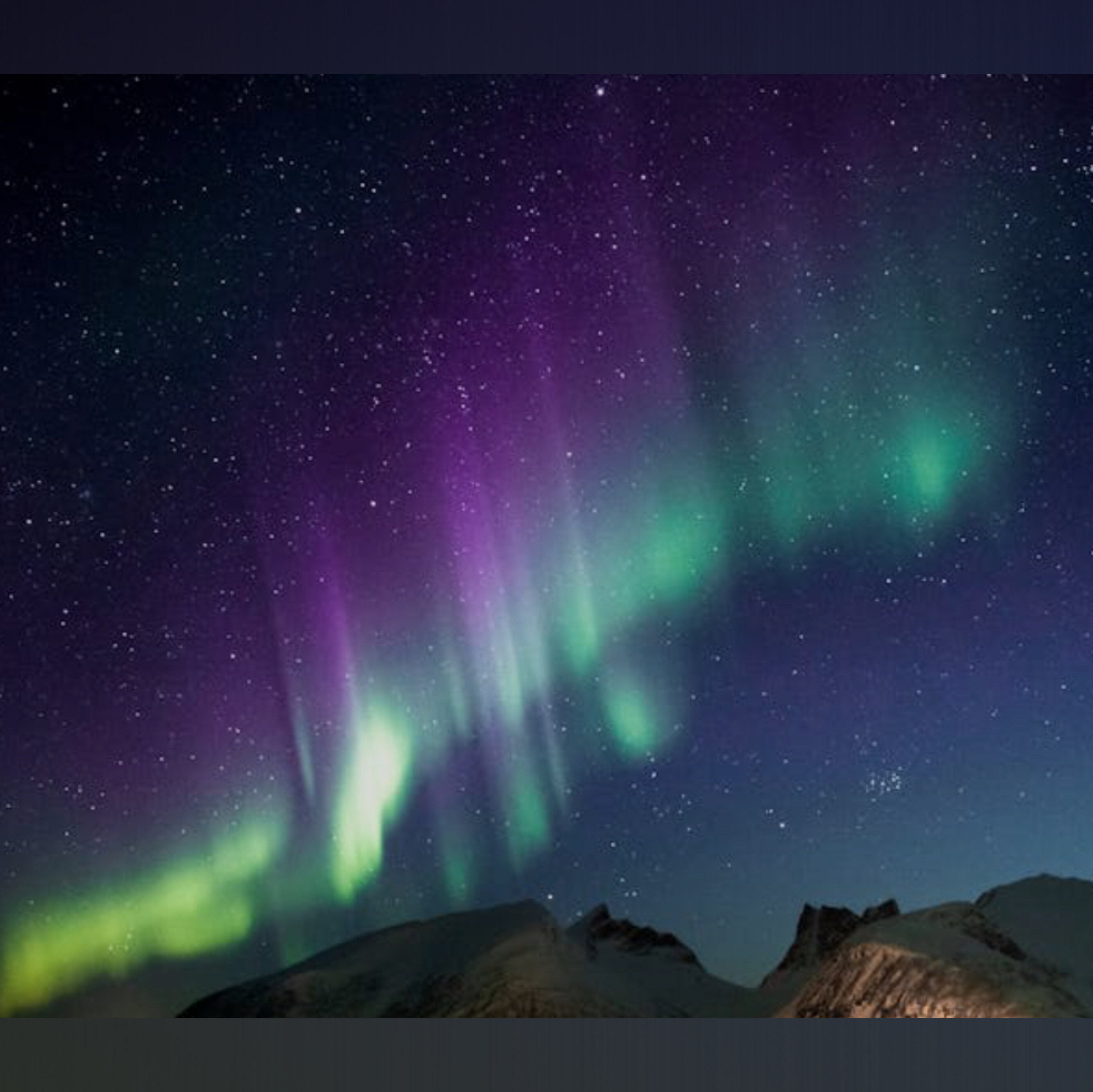 🩷Aurora🩷 banner image