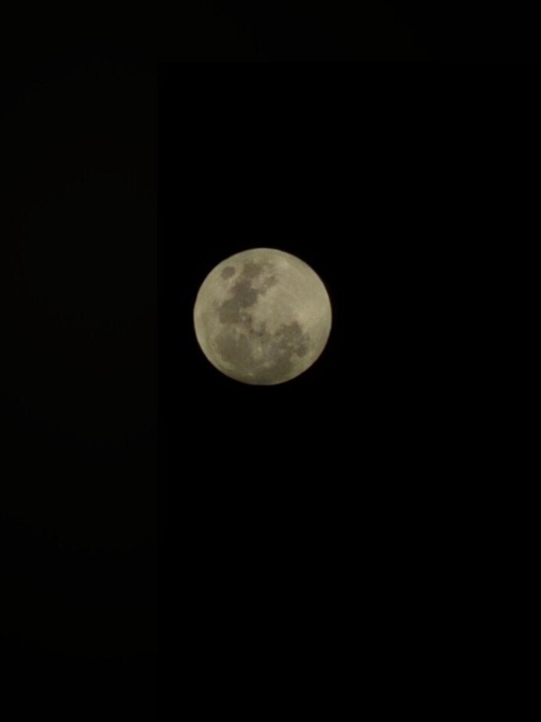 AngelMartins banner image