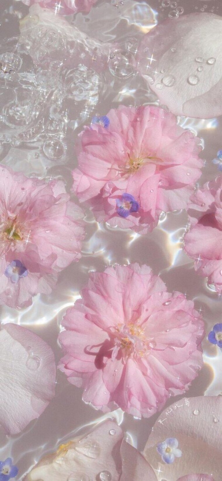 Angélica betancurt cover image
