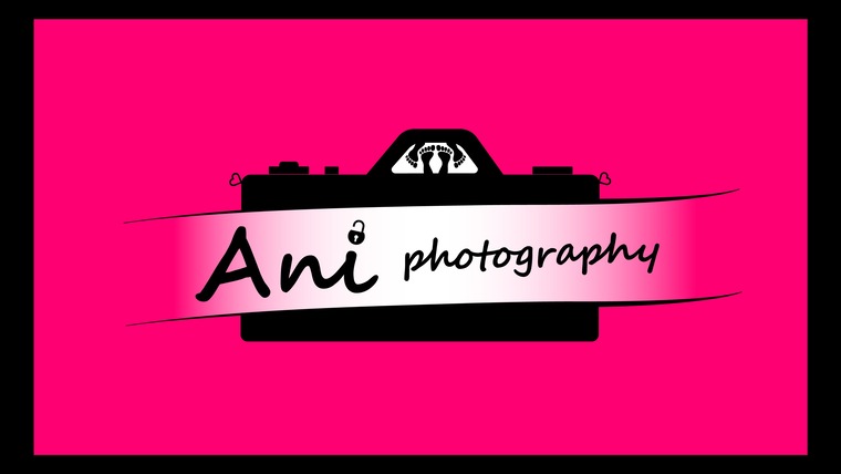 Ani photography banner image
