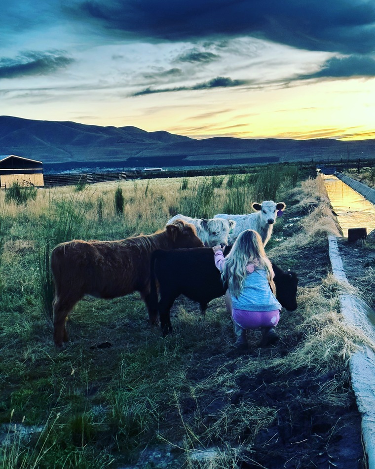 Anika the Farm Wife cover image