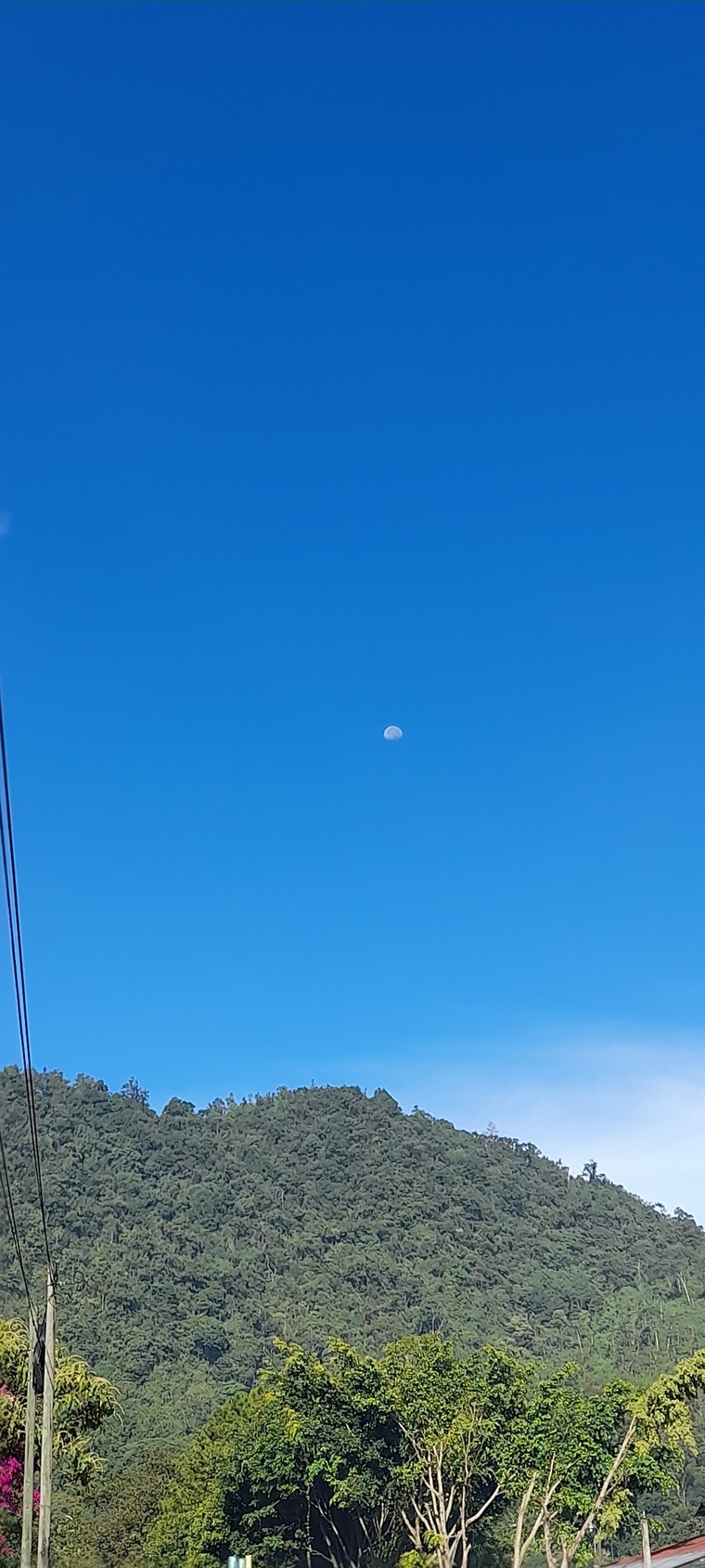 Anibal c banner image