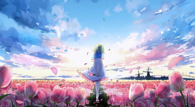 Anime banner image