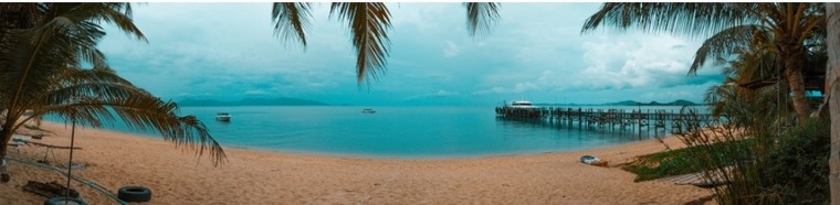 Cristy banner image
