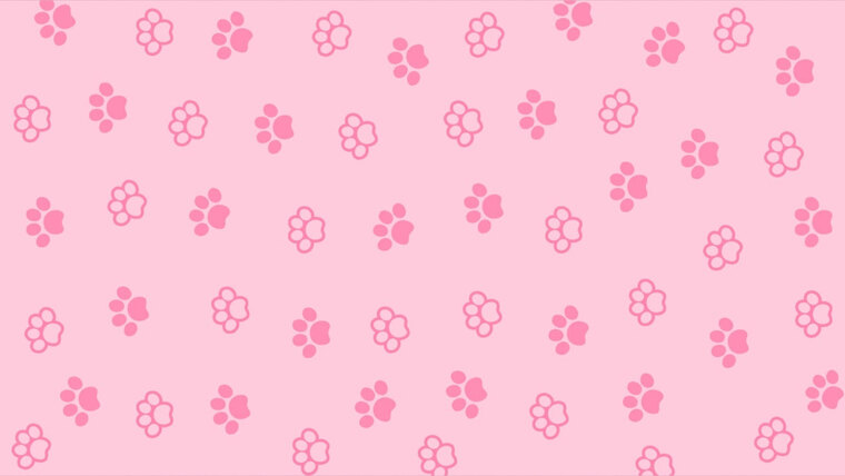 Anita banner image