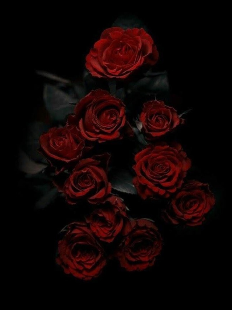 Anja banner image