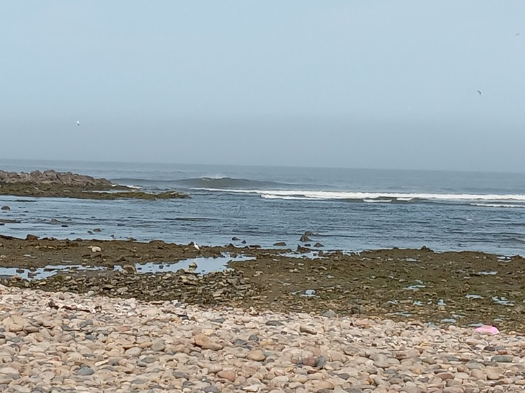 Anjelumk cover image
