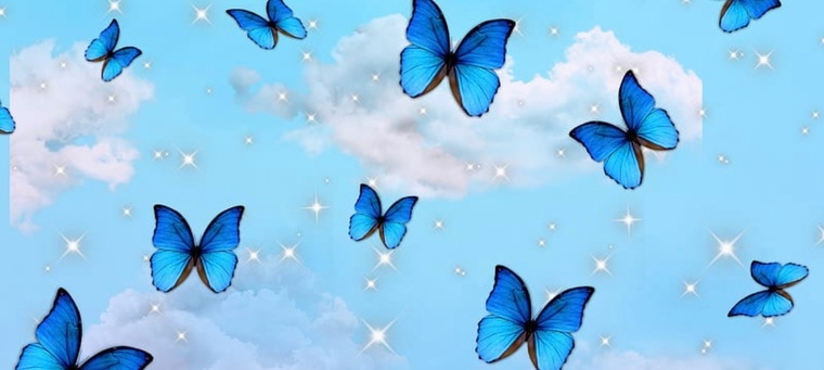 Anna 🦋 banner image