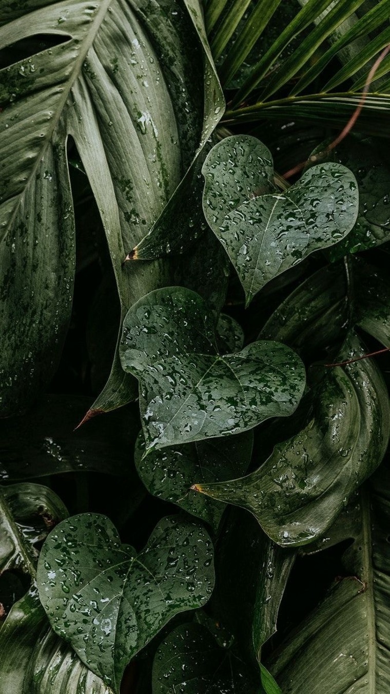Anna grace banner image