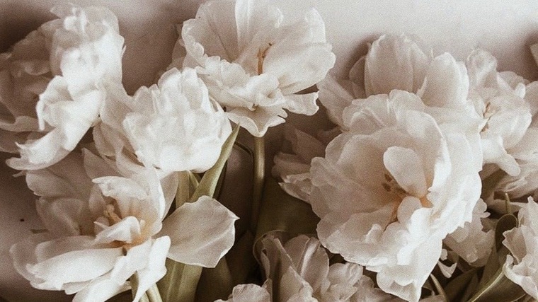 Annah_feet banner image
