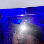 assthestics avatar