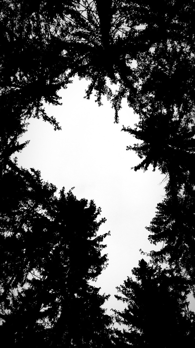 AnnaTucci cover image