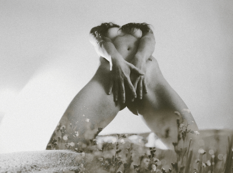 Anna Vox cover image