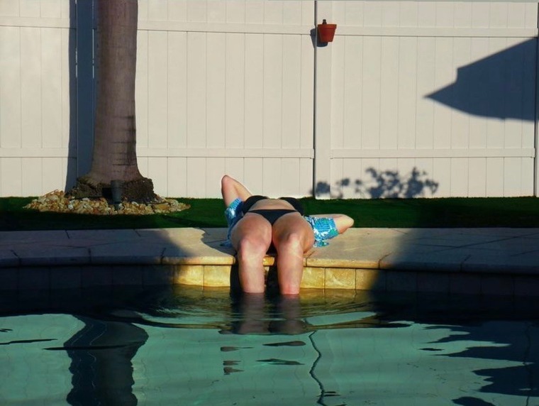 Annabel Fox cover image
