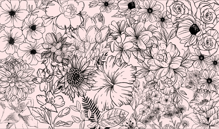 Anne List cover image