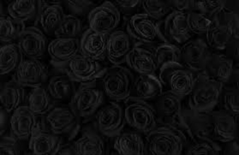 annie_girl.20 cover image