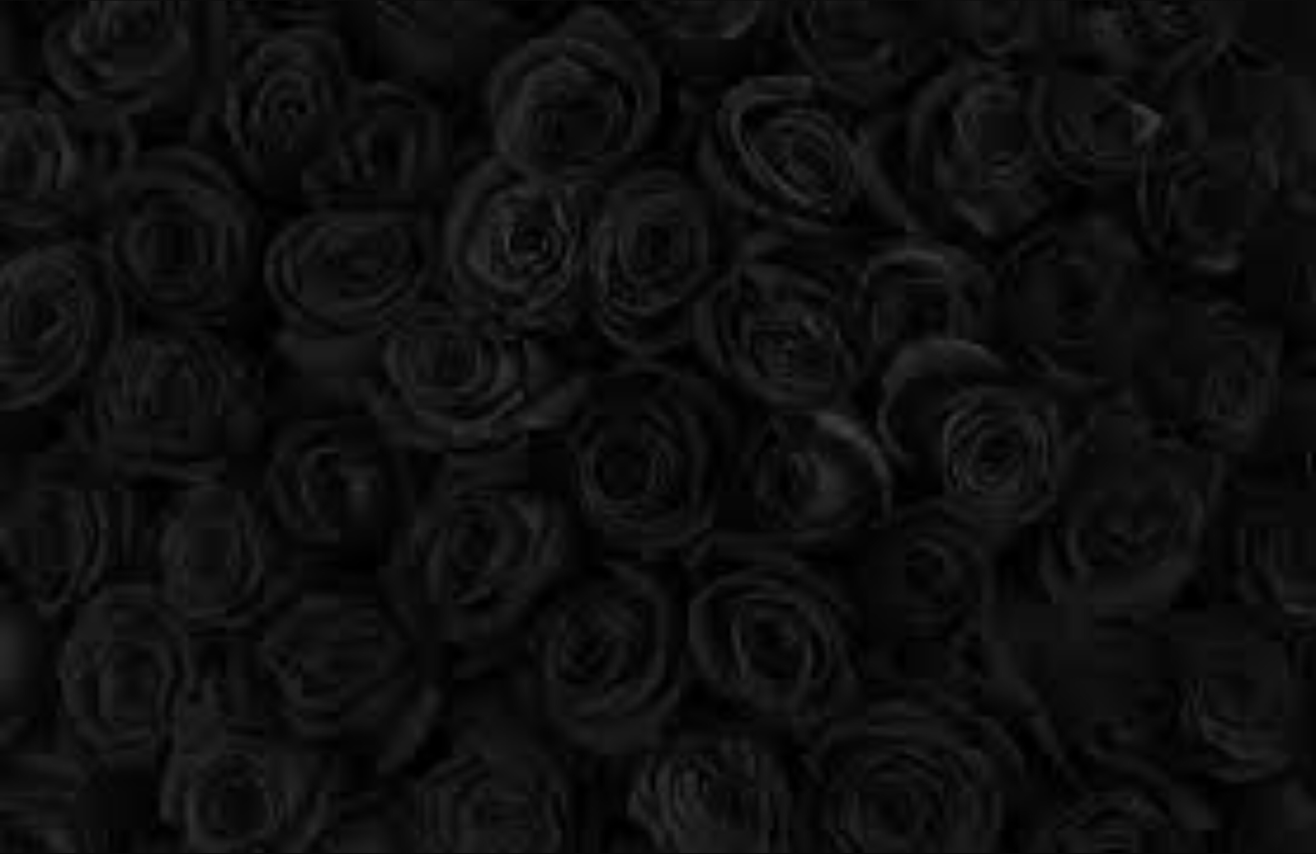 annie_girl.20 banner image
