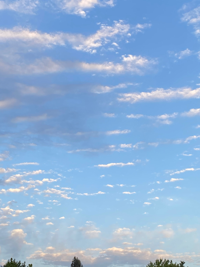 anonymous banner image