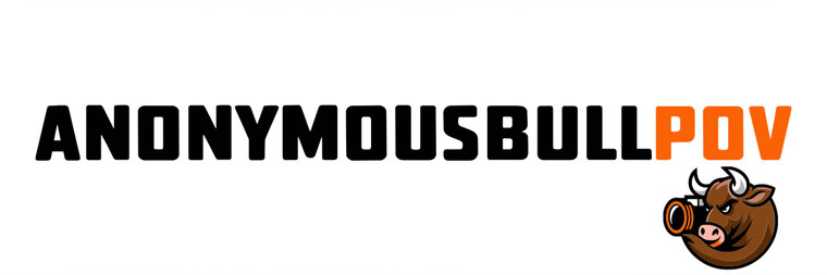 AnonymousBullPOV cover image