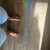 Another Feet Page avatar
