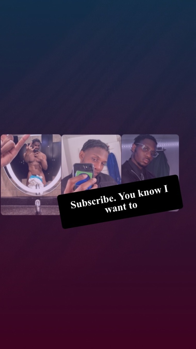 Ant cover image