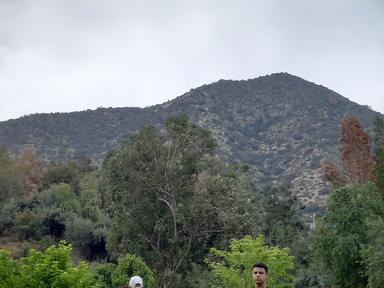 Antho_San banner image