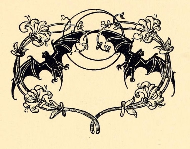 Anthusa cover image