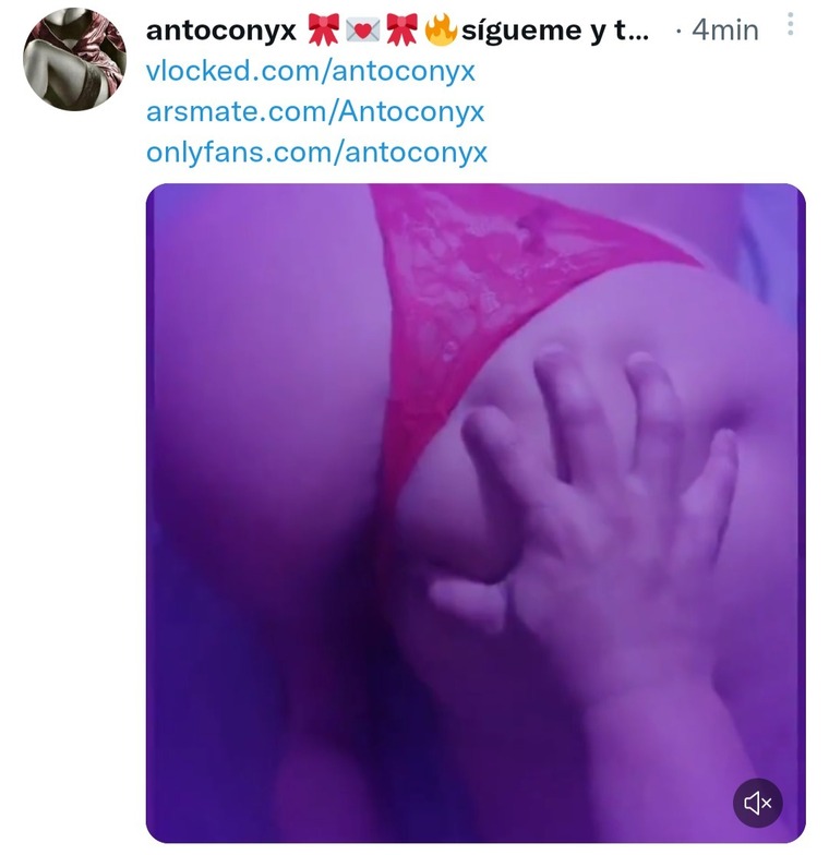 Antoconyx ๐จ๐ฑ๐๐๐๐จ๐ฑ๐จ๐ฑ๐จ๐ฑ๐จ๐ฑ banner image