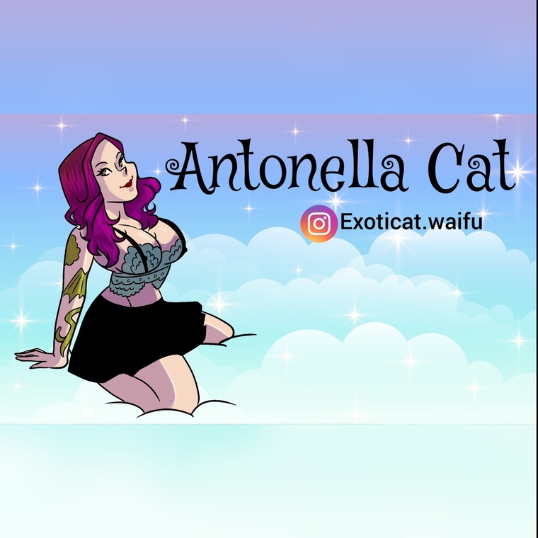 Antonella Cat banner image