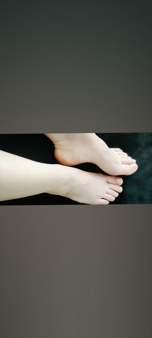 Antoni banner image