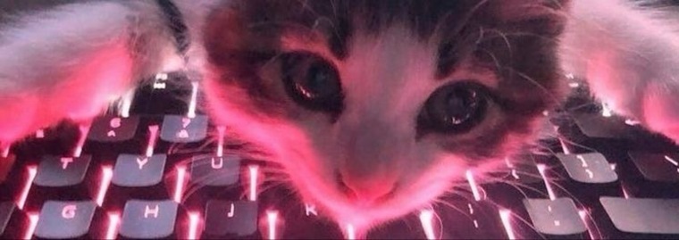 Anya_Baby banner image