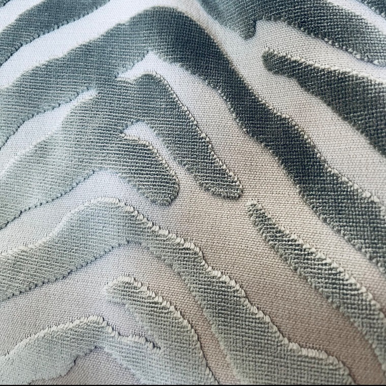 ToesforTreats cover image